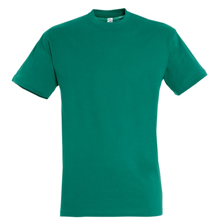 T-shirt REGENT Βαμβακερό - T shirt REGENT Βαμβακερό 5