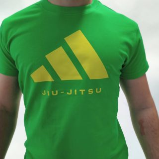 T-shirt adidas COMMUNITY GRAPHIC JIU-JITSU - adiCLTS24-JJ