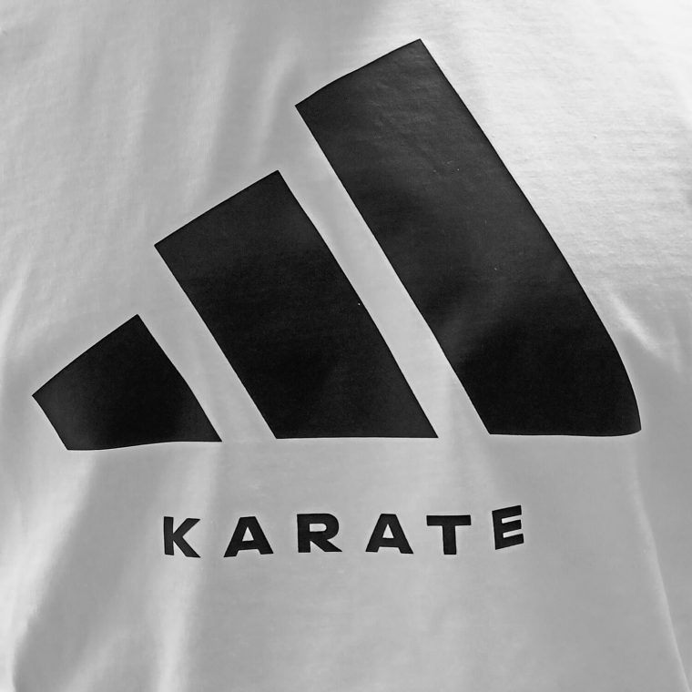 T-shirt adidas COMMUNITY GRAPHIC KARATE - adiCLTS24-K - T shirt adidas COMMUNITY GRAPHIC KARATE adiCLTS24 K 7